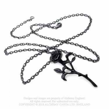 The Romance of The Black Rose Necklace